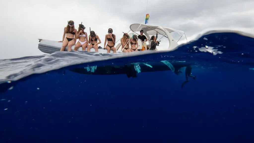 SARL Kavic_Moorea-Maiao