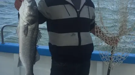 Le Fantomas II est un ancien bateau mytilicole, construit a l’Aiguillon sur Mer.