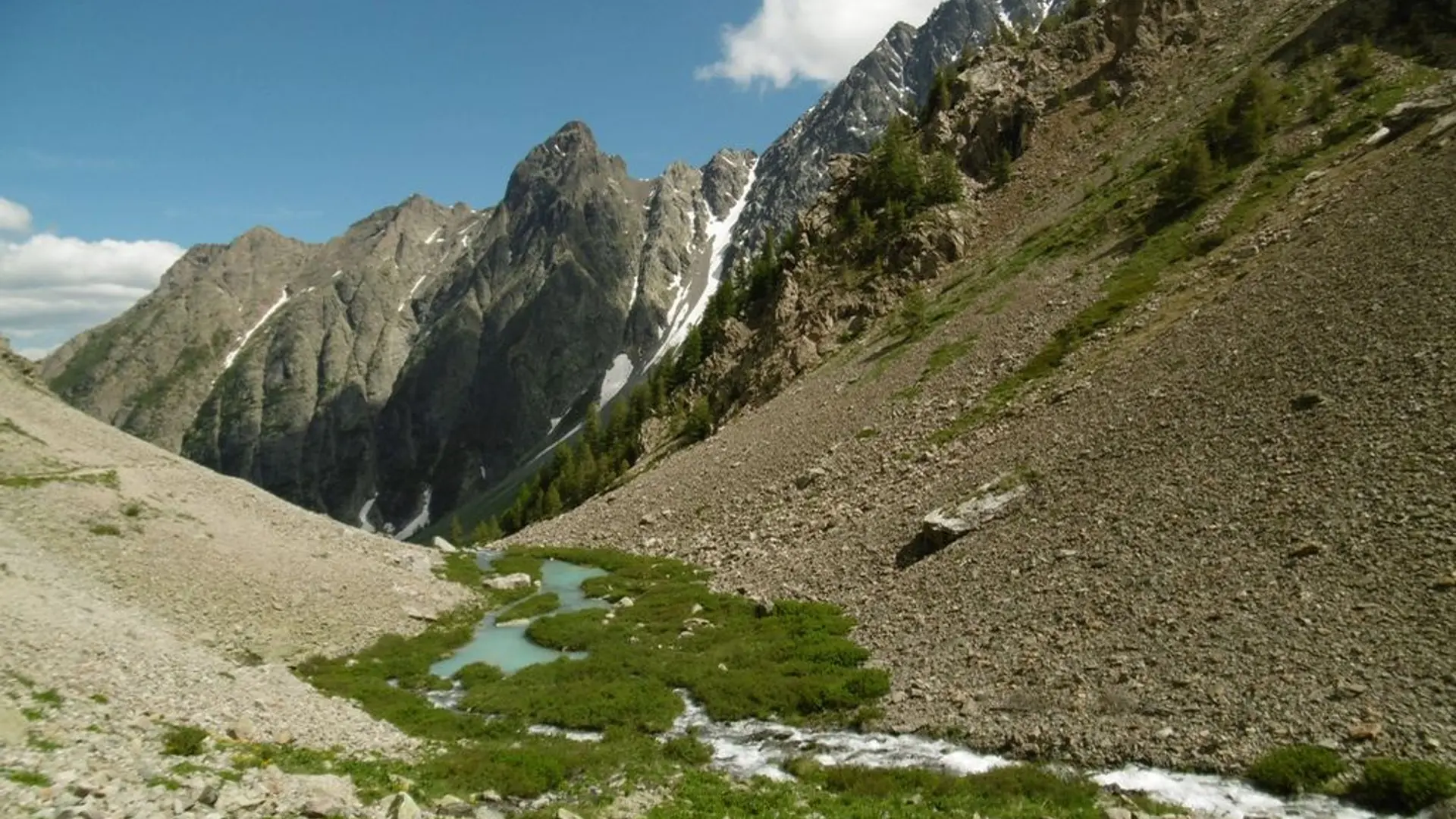 Torrent Le petit Tabuc