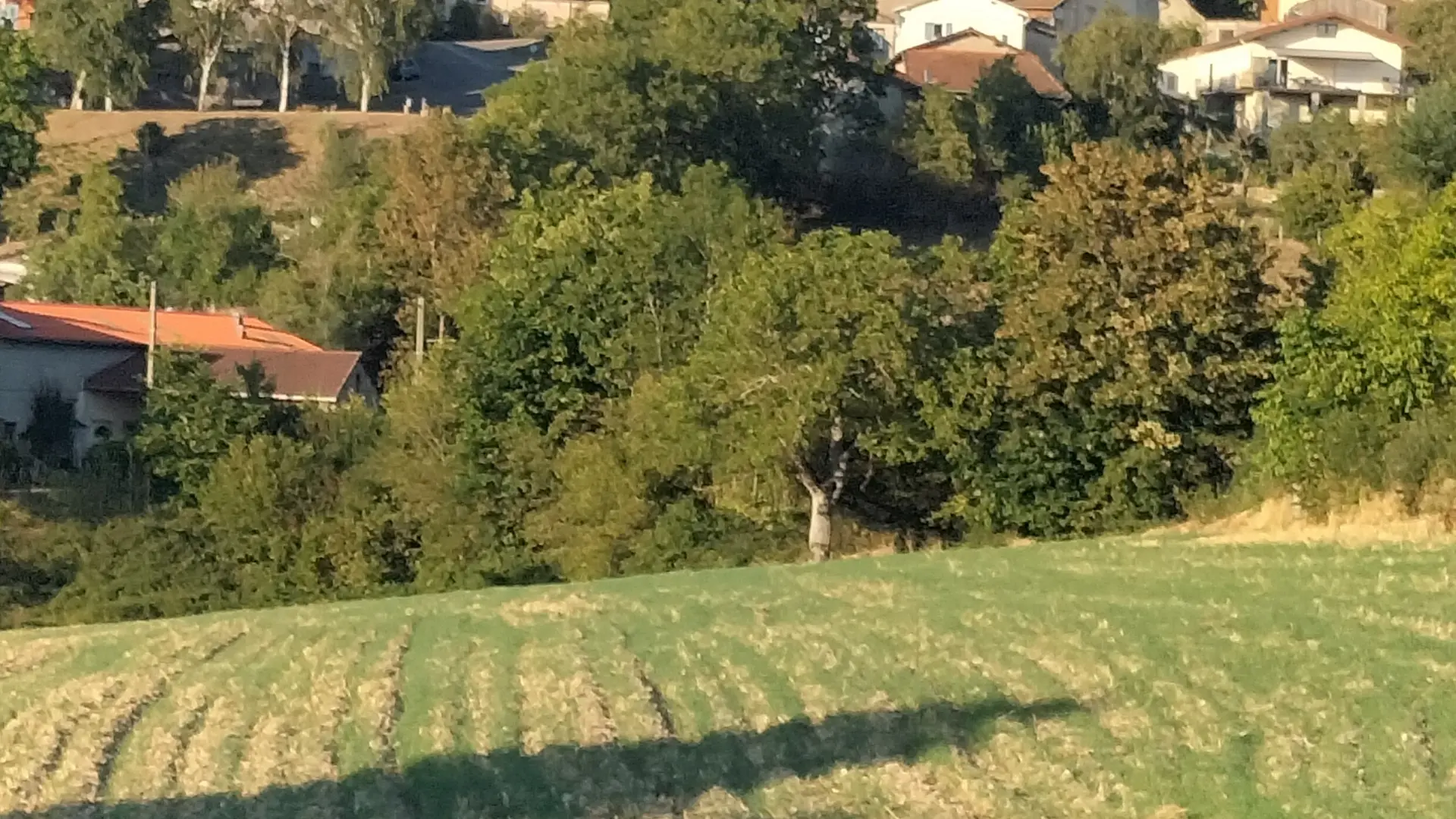 le village de Saint Romain d'Urfé