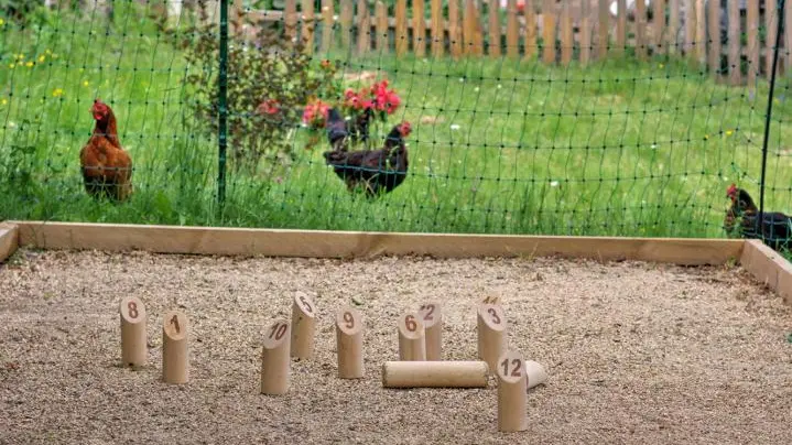 Vous avez le choix entre pétanque et molki