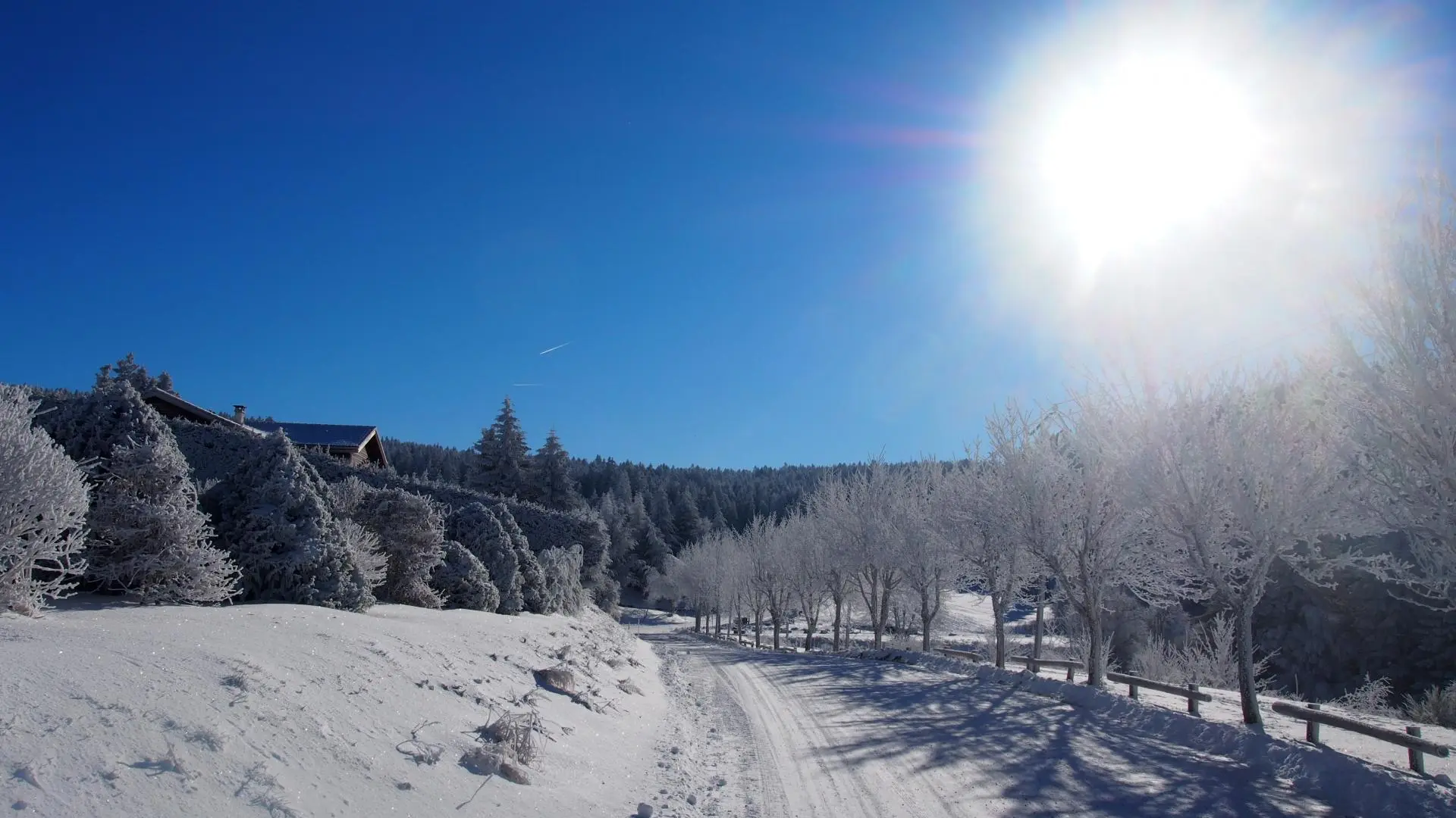 Chemin vers les bois. les pistes de fond sont à 400 m
