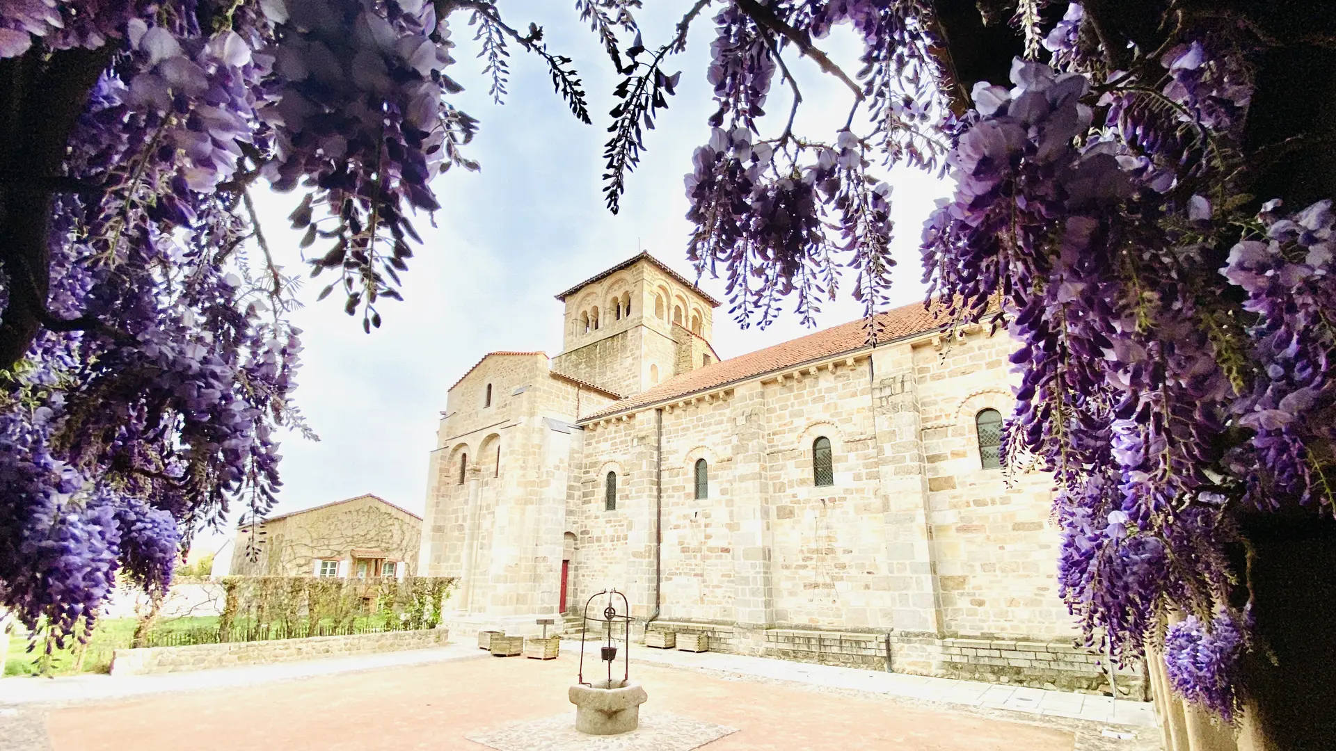 Glycine du cloître du prieuré bénédictin - Champdieu