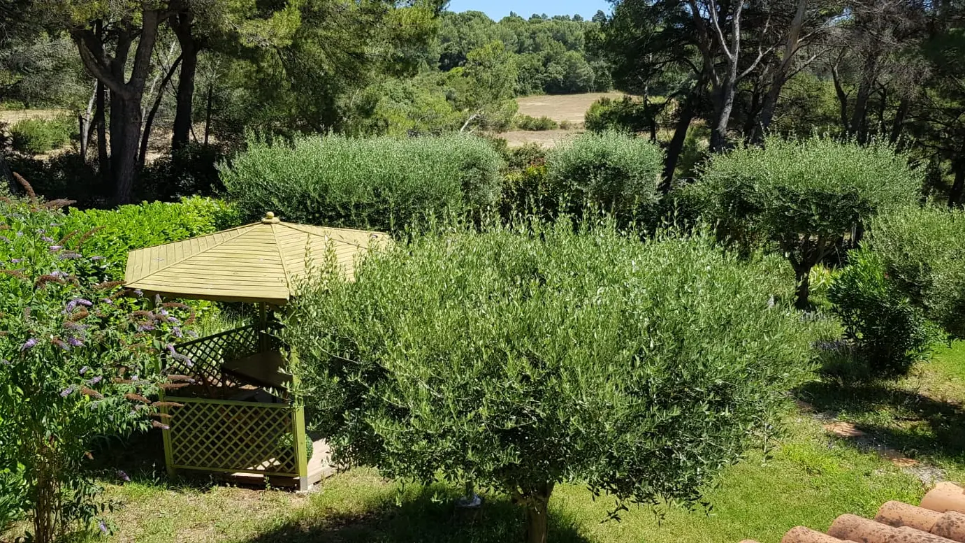 vue sur le jardin du 1er étage