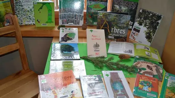 Bibliothèque Abriès
