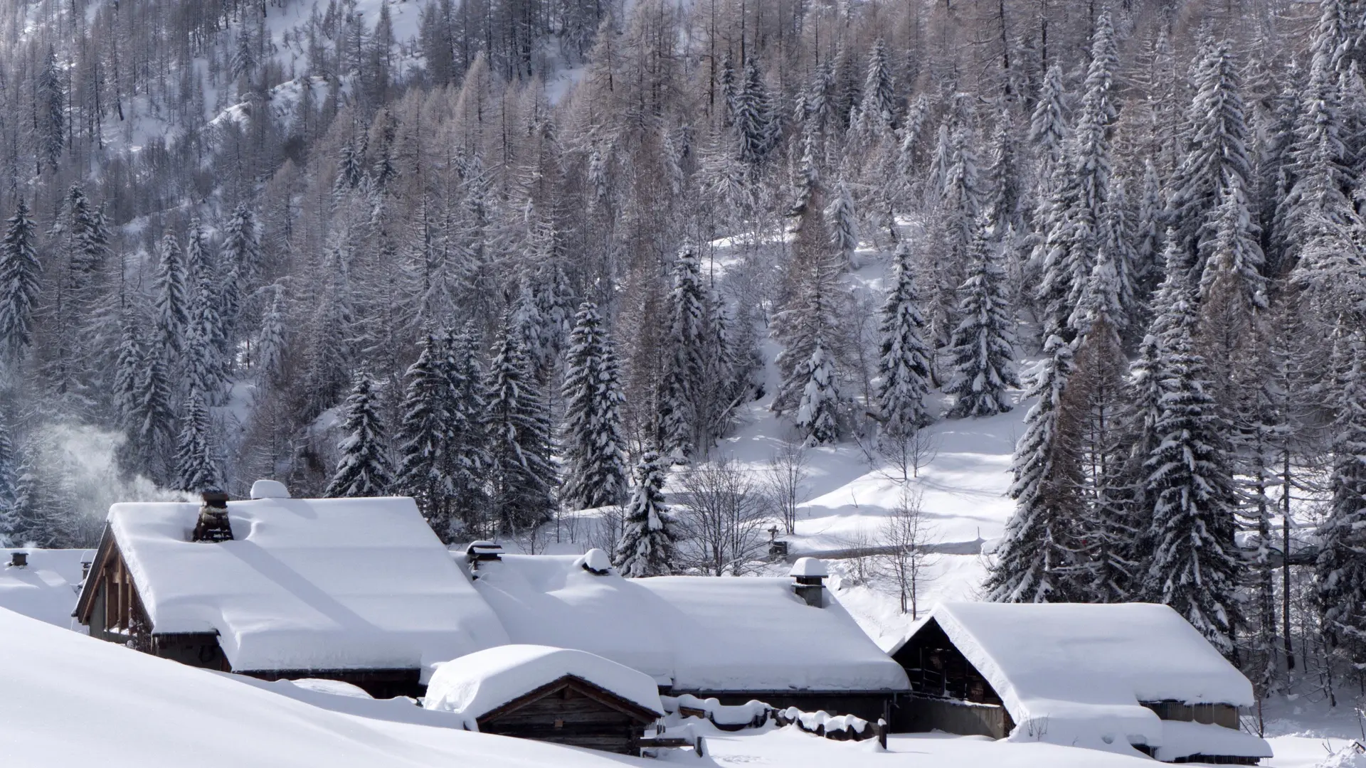 3 OK HAMEAU TRELECHAMPS L1240970_modifié-1