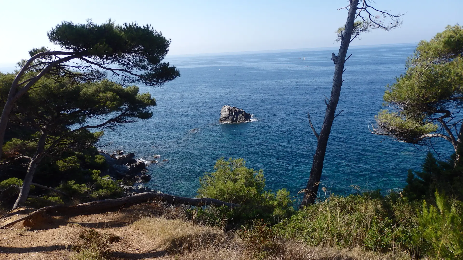 Studio dans une résidence - Le Brusc