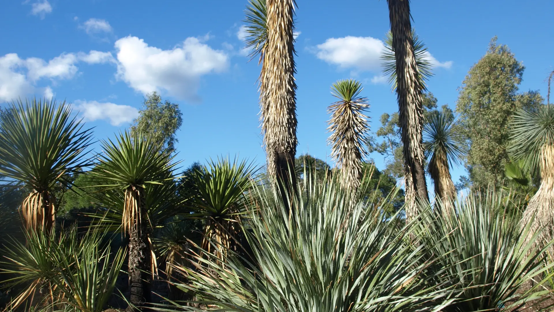 Jardin Zoologique Tropical à La Londe les Maures