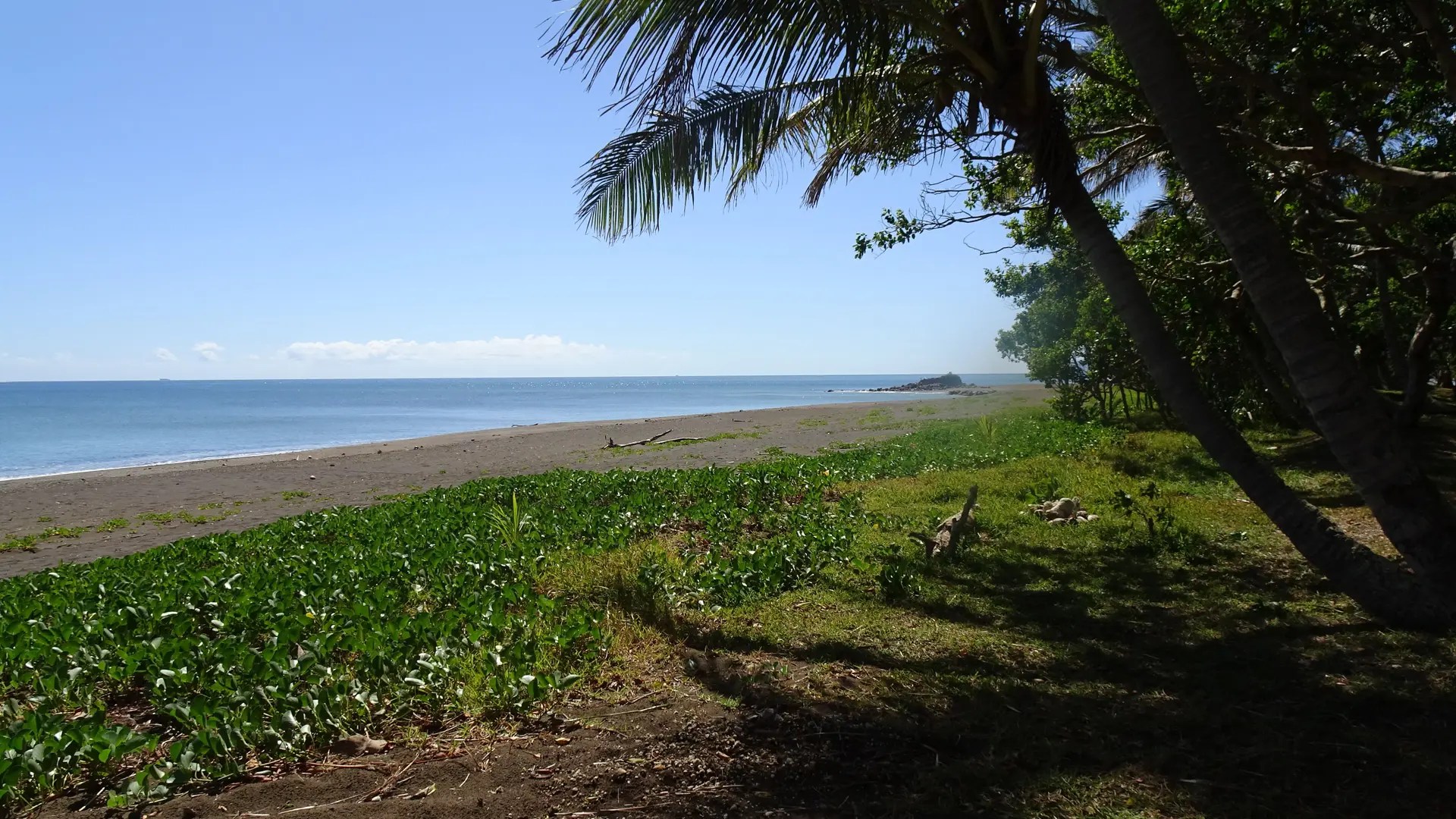 Plage au sable noir