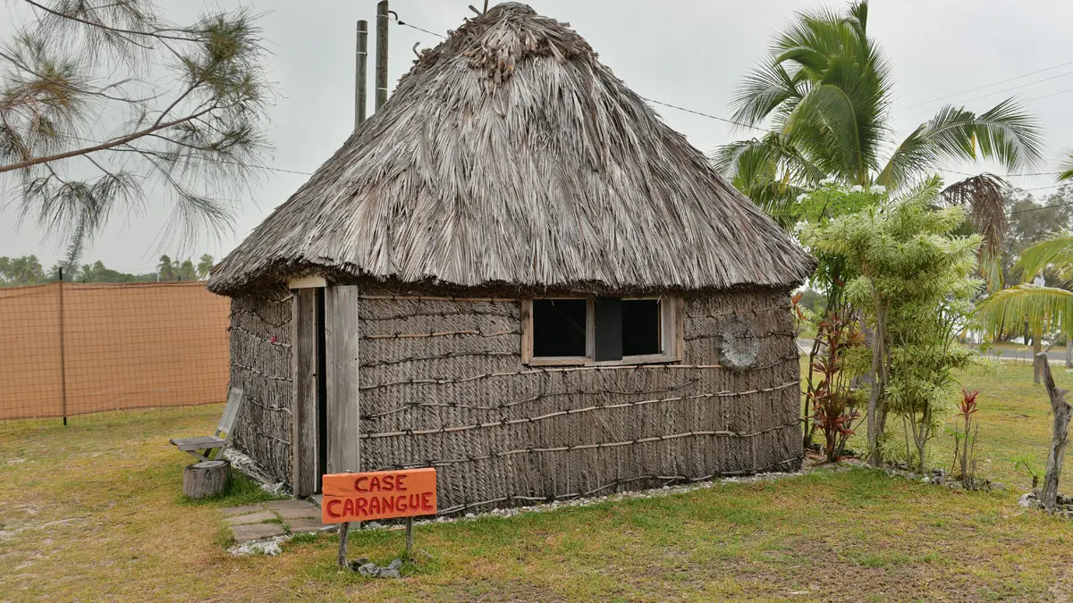 Thatched hut