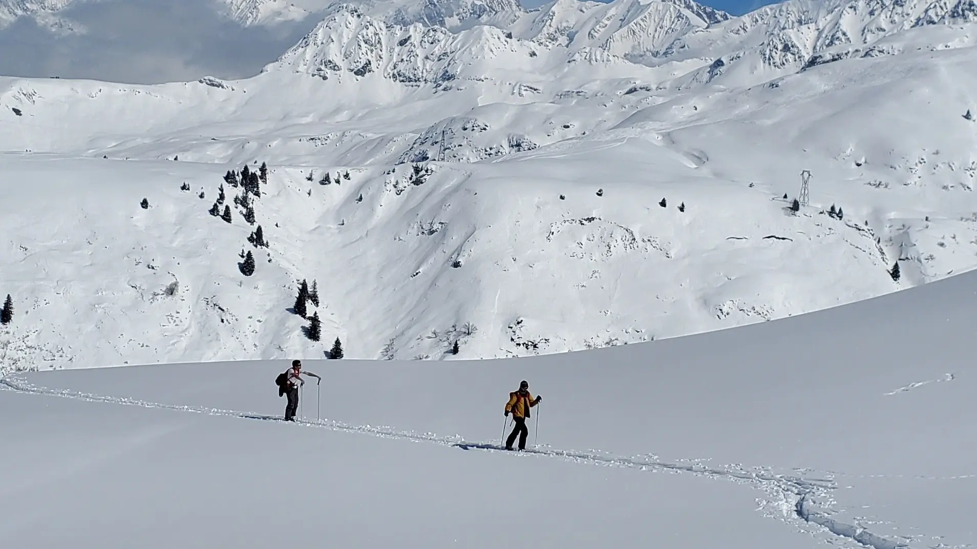 Ski de randonnée