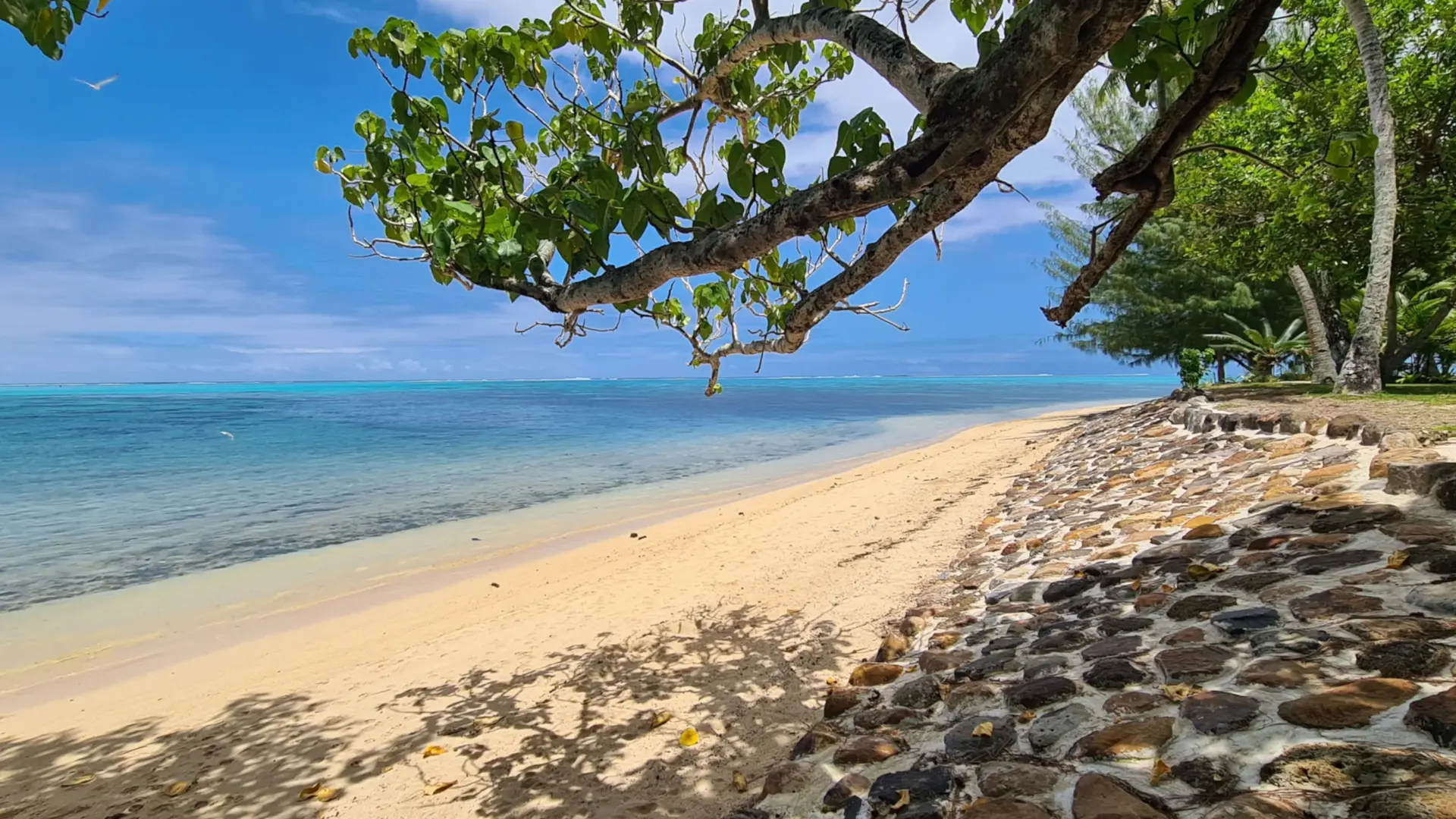 « Cottage Miti Reva » par Tahiti Homes® (Haapiti, Moorea) | Tahiti ...