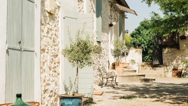 Visite d'un champ de Lavande Aix en Provence