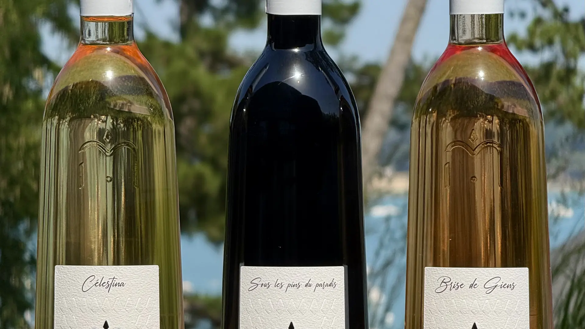 Vins 3 couleurs du domaine viticole Matteri - Hyères
