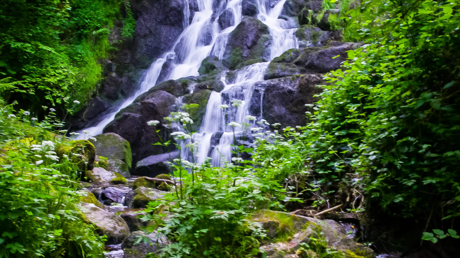 Cascade de l'écureuil