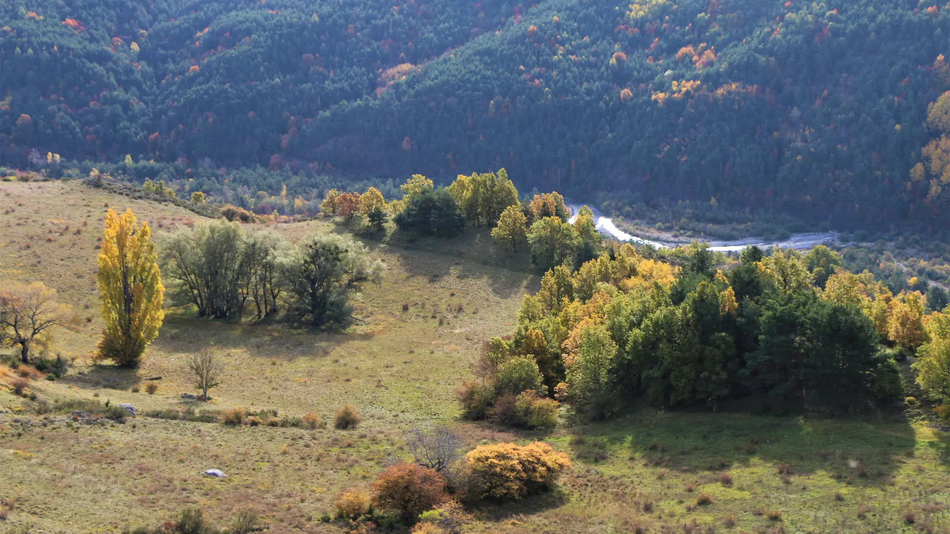 Circuit de l’ancienne distillerie par les passerelles