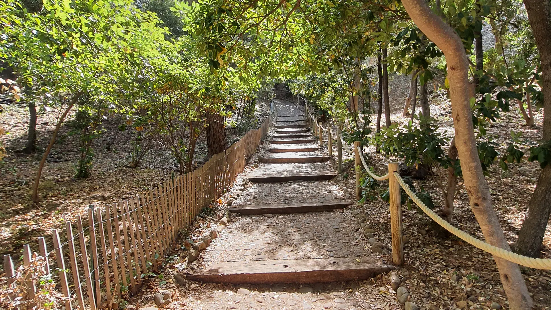 Découverte des Calanques