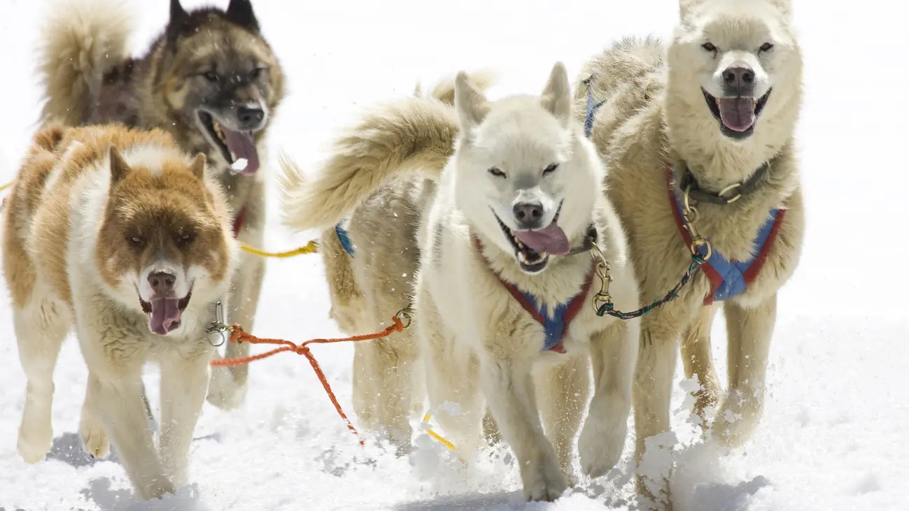 Agence multi-activités Rando Passion