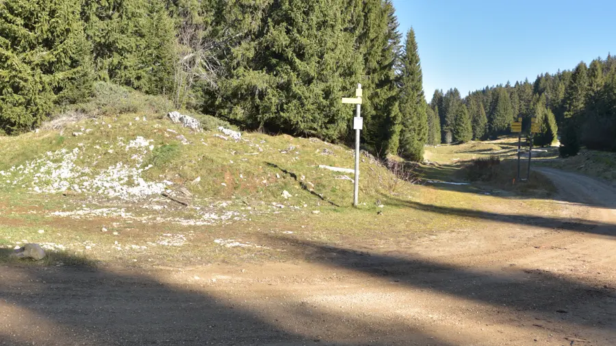 Teppe de Lachat - suivre à gauche