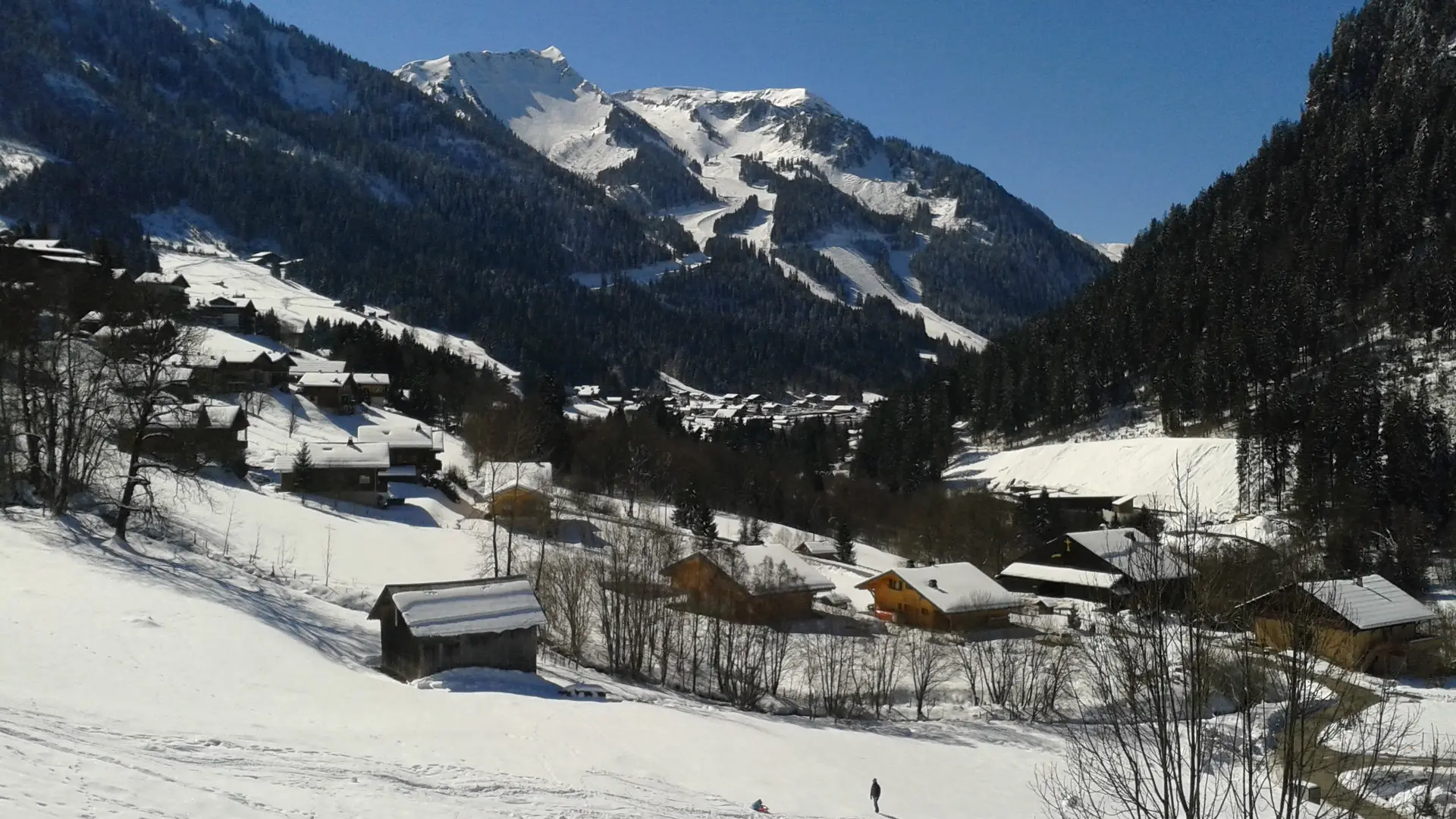 2 pièces - Chaumière des Neiges