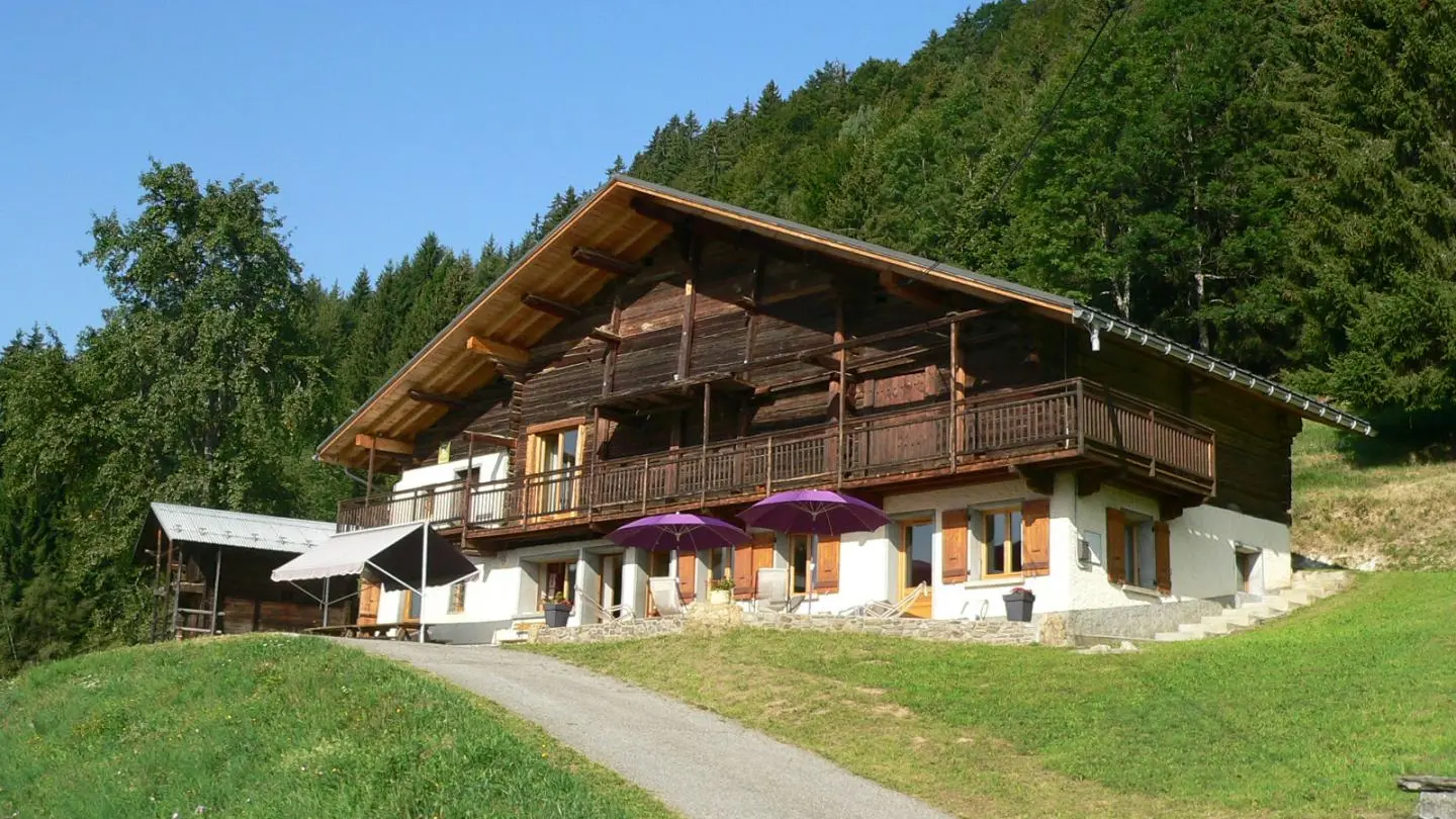 Chalet avec sa terrasse aménagée