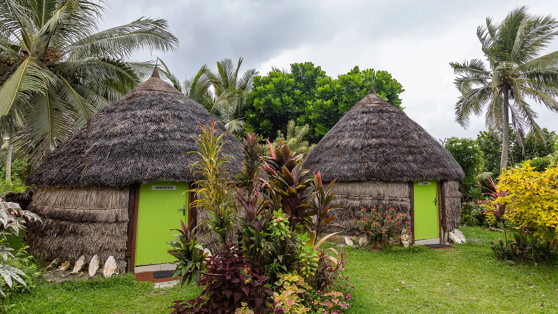 Thatched huts