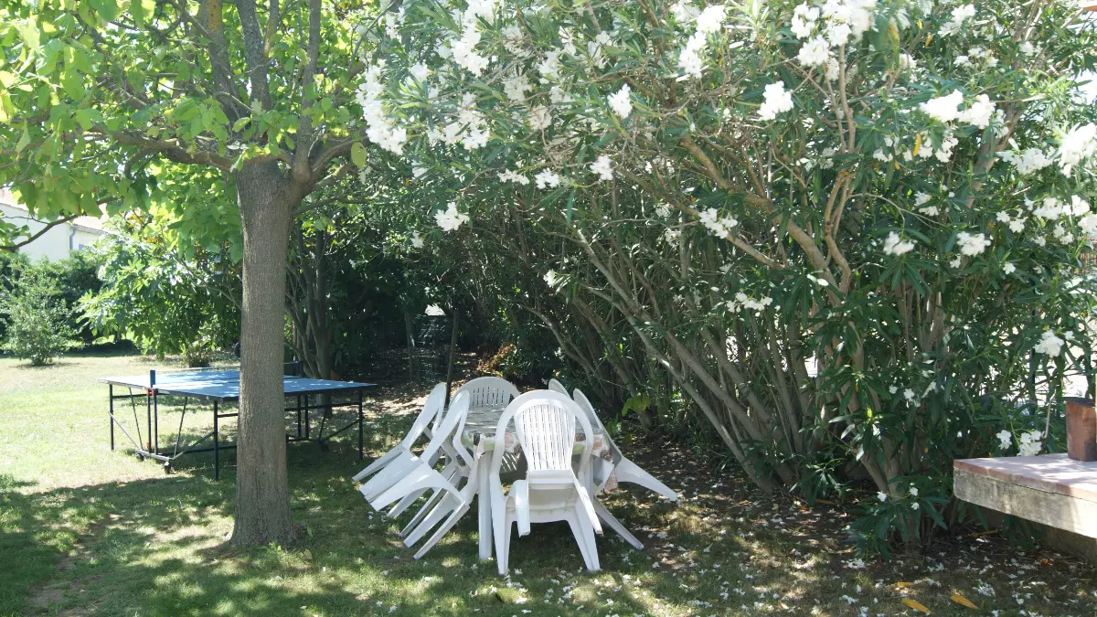 Coin repas à l'ombre et table de ping-pong