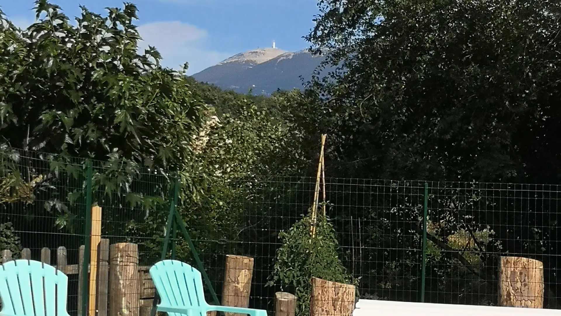 piscine avec vue sur le Ventoux