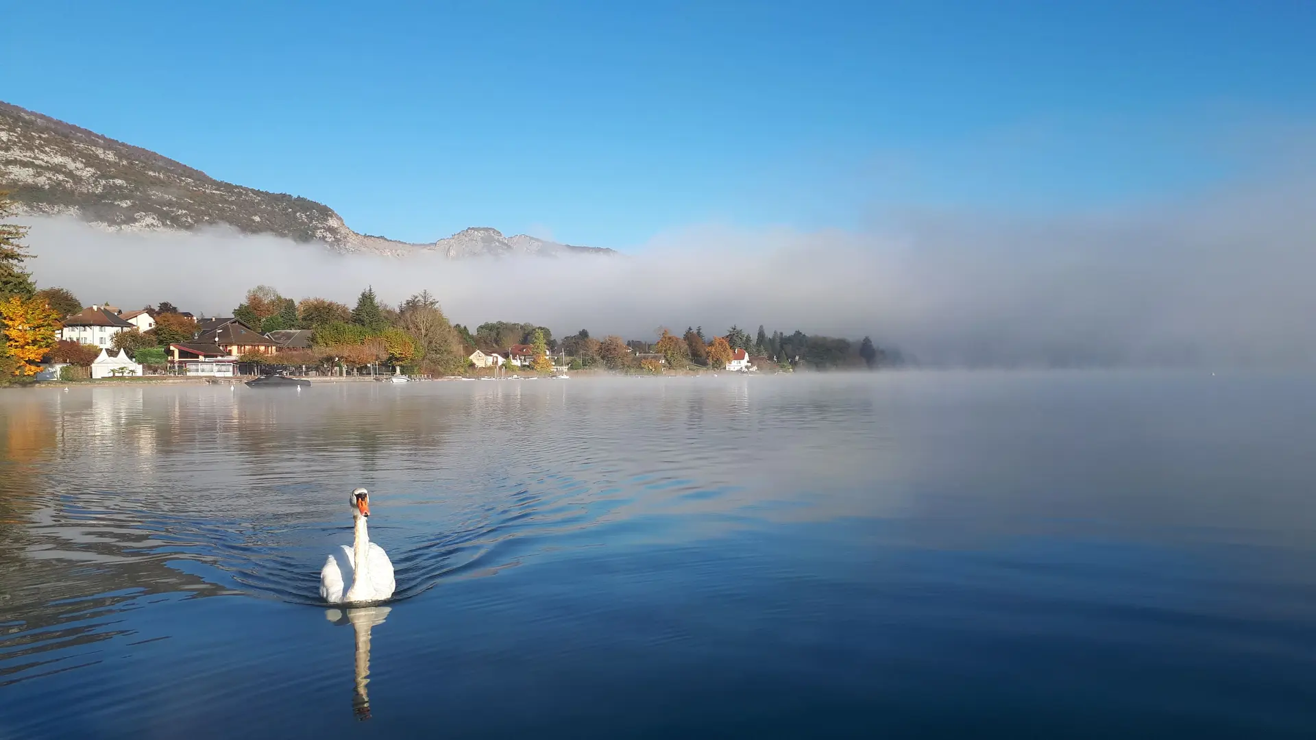 Lac et Montagnes_Doussard