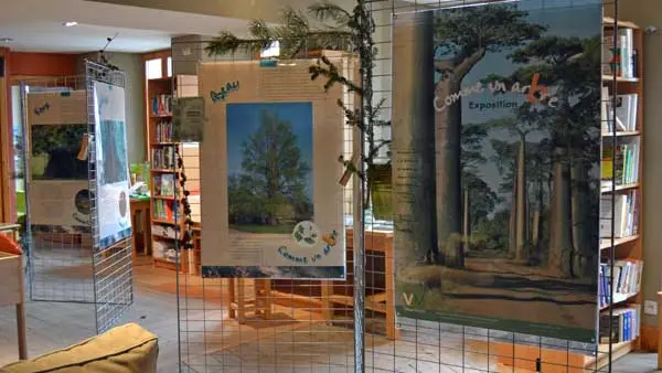 Bibliothèque Abriès
