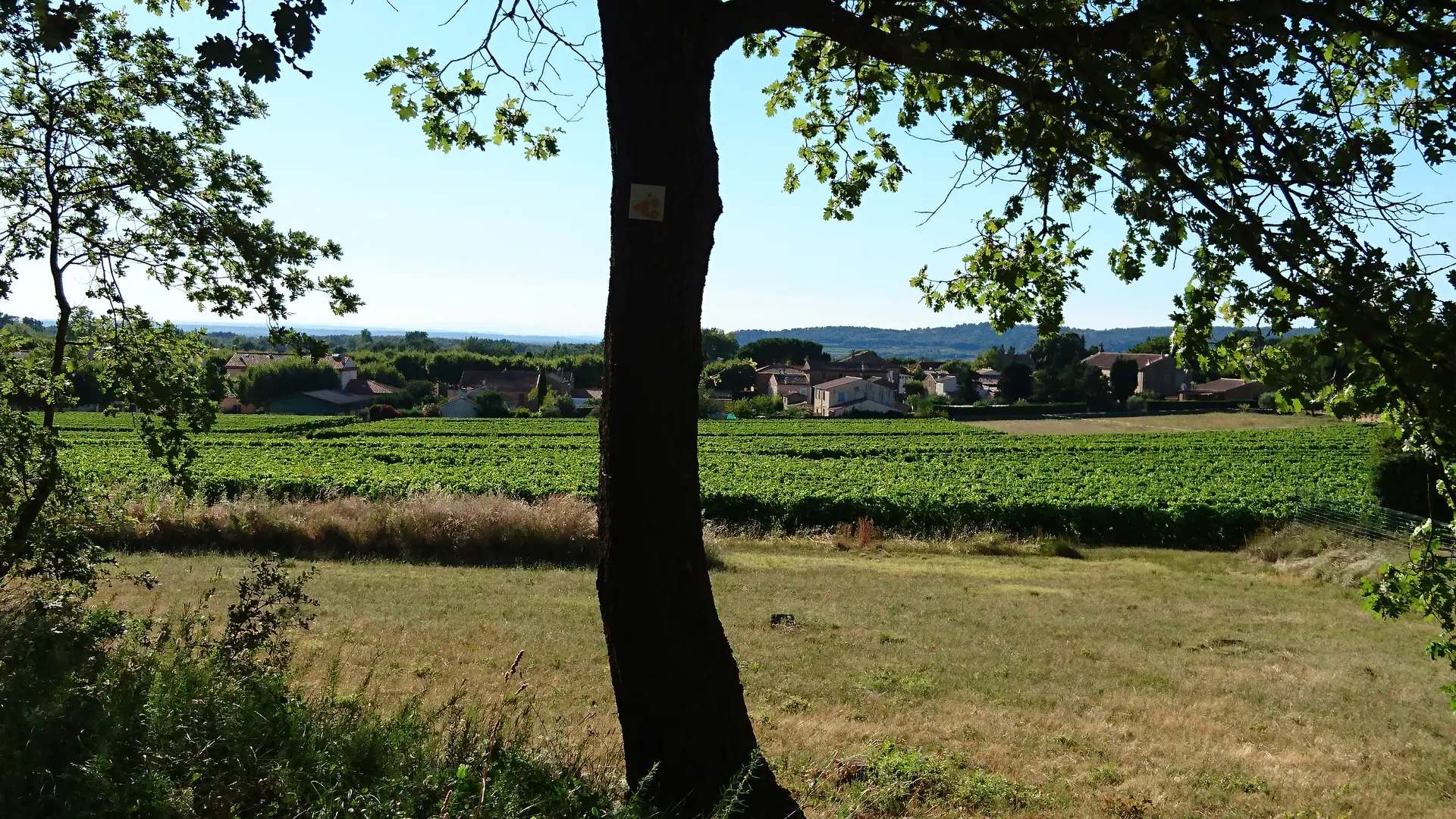 Parcours VTT Oppède