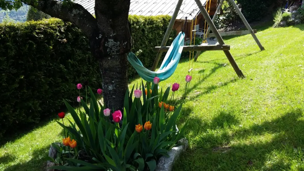 Le jardin