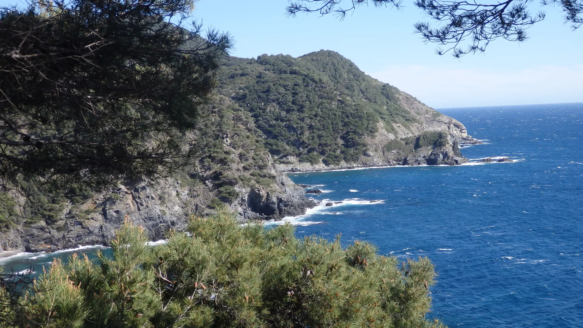 Studio dans une résidence - Le Brusc