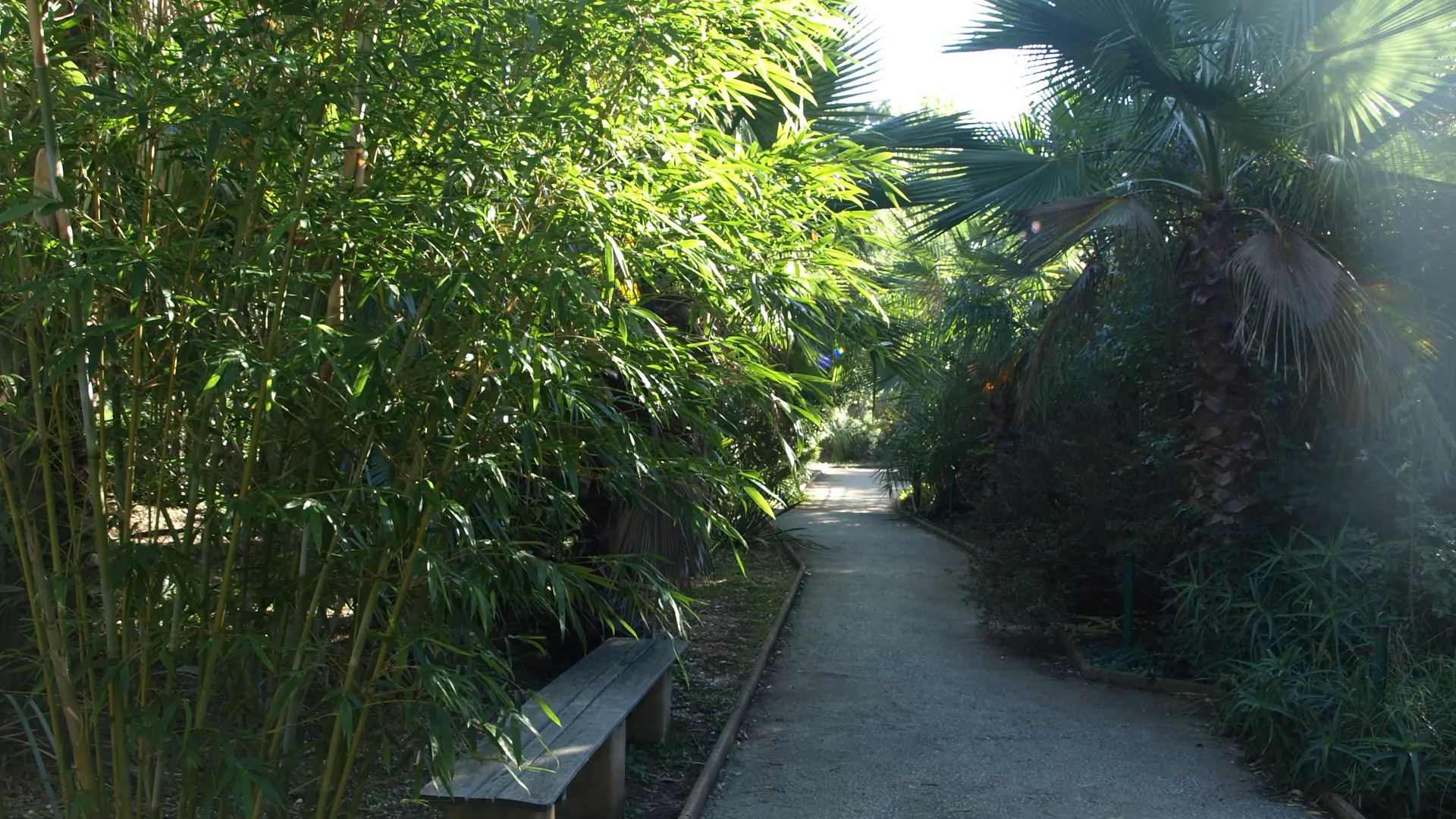 Jardin Zoologique Tropical à La Londe les Maures