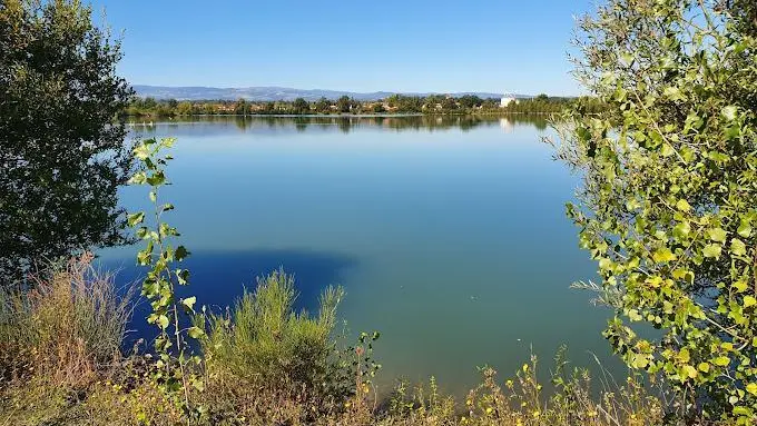 Plan d'eau 