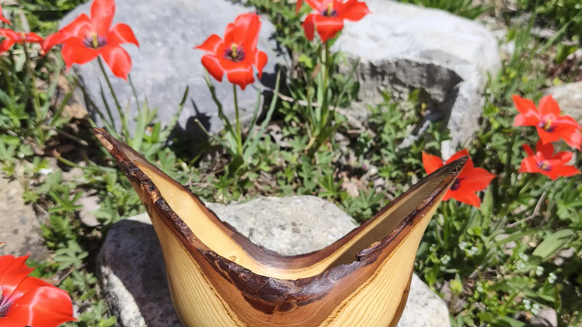 Vaisselle en bois