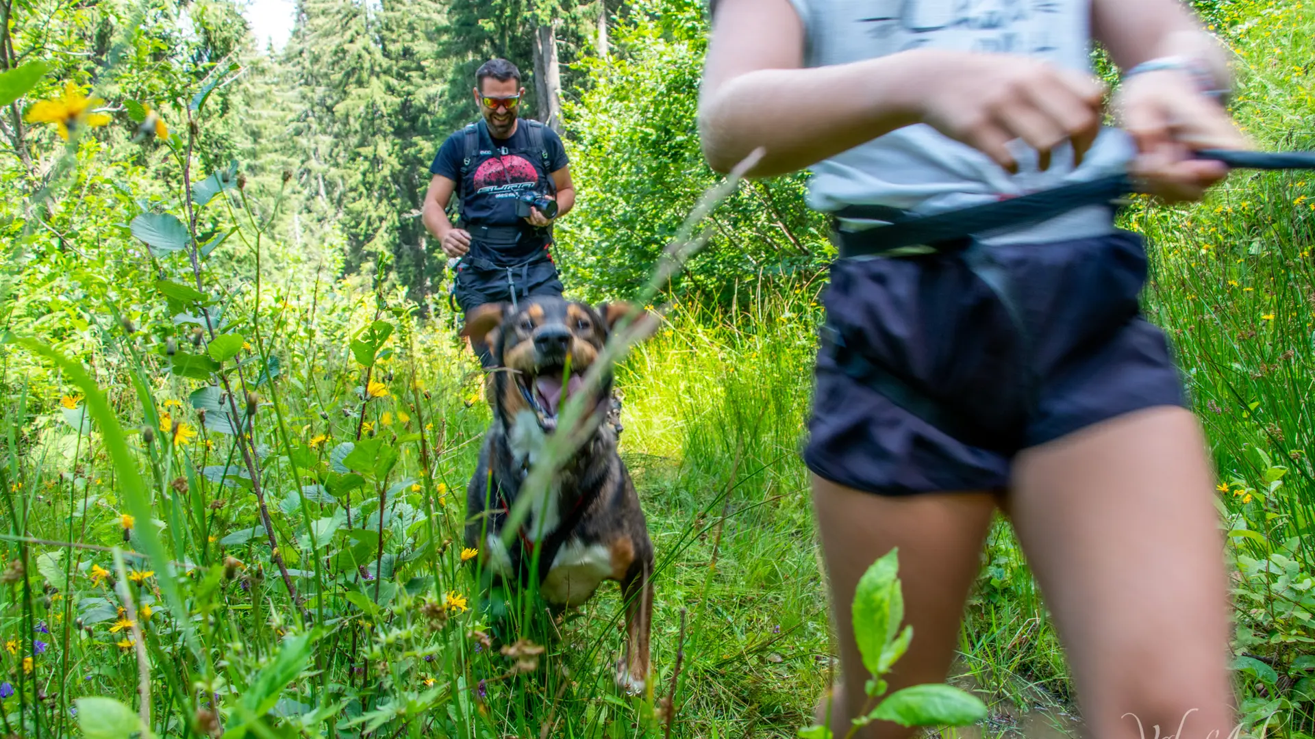Cani rando à Notre Dame de Bellecombe avec Expérience Montagne