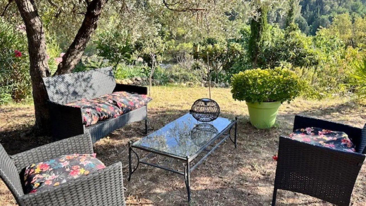 Salon de jardin à l'ombre douce d'un olivier.