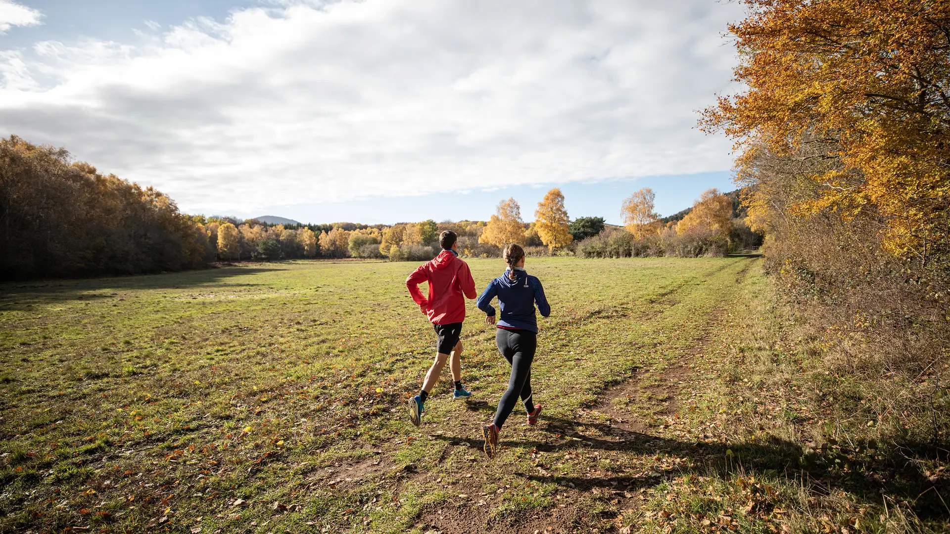 Sur les hauteurs de Volvic