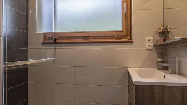 Salle d'eau : douche à l'italienne et vasque