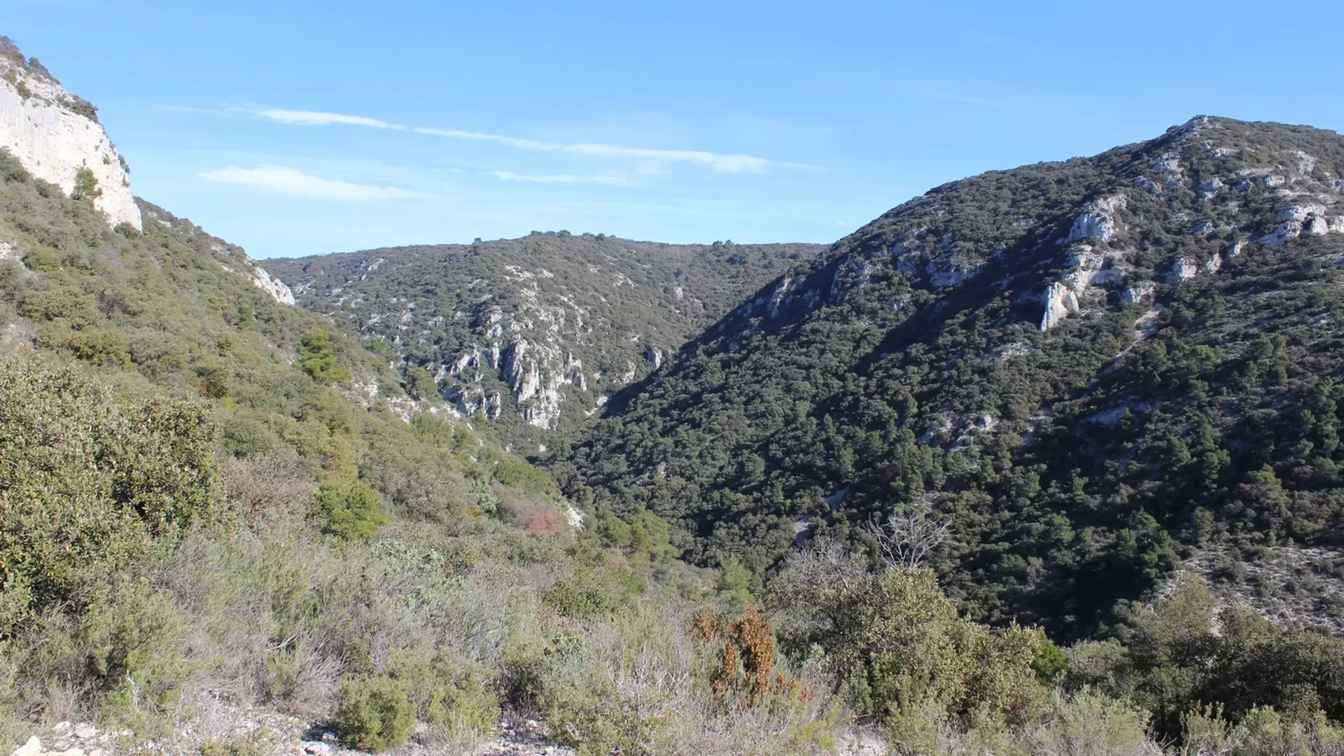 Combe de Sautadou depuis le collet