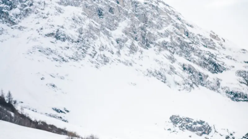 Chiens_de_traineau_Chiens Traineau