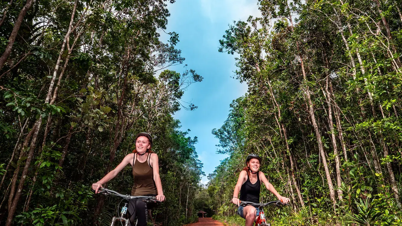 À bord de vos VTT, sillonnez les nombreux sentiers du parc de la rivière bleue et explorez au maximum ses possibilités d'expériences inoubliables !