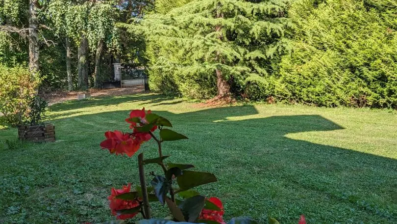 Le jardin en automne