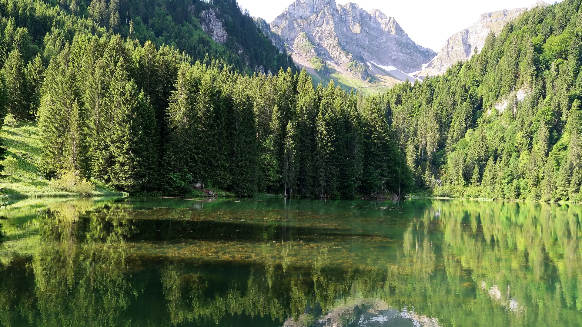 Lac des Plagnes