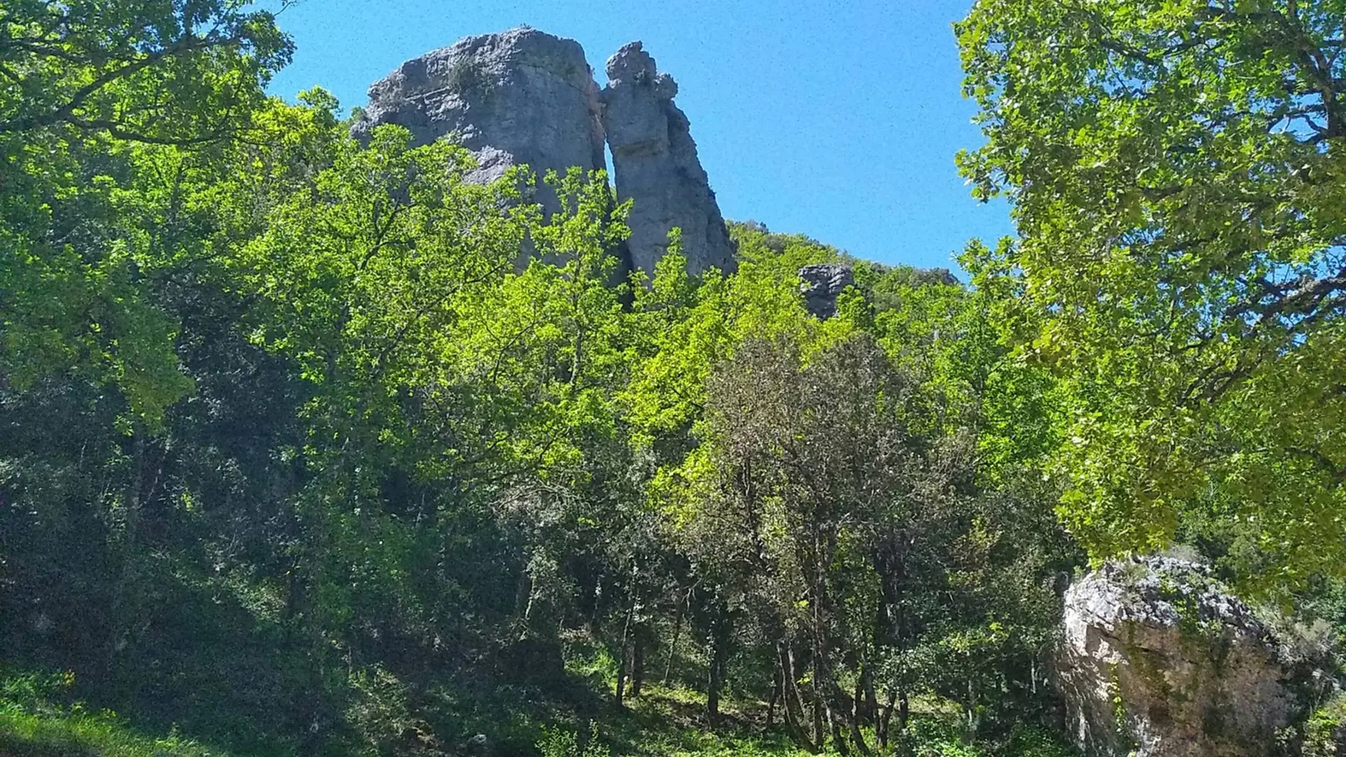 Aperçu du haut des aguilles parmi la végétation verdoyante