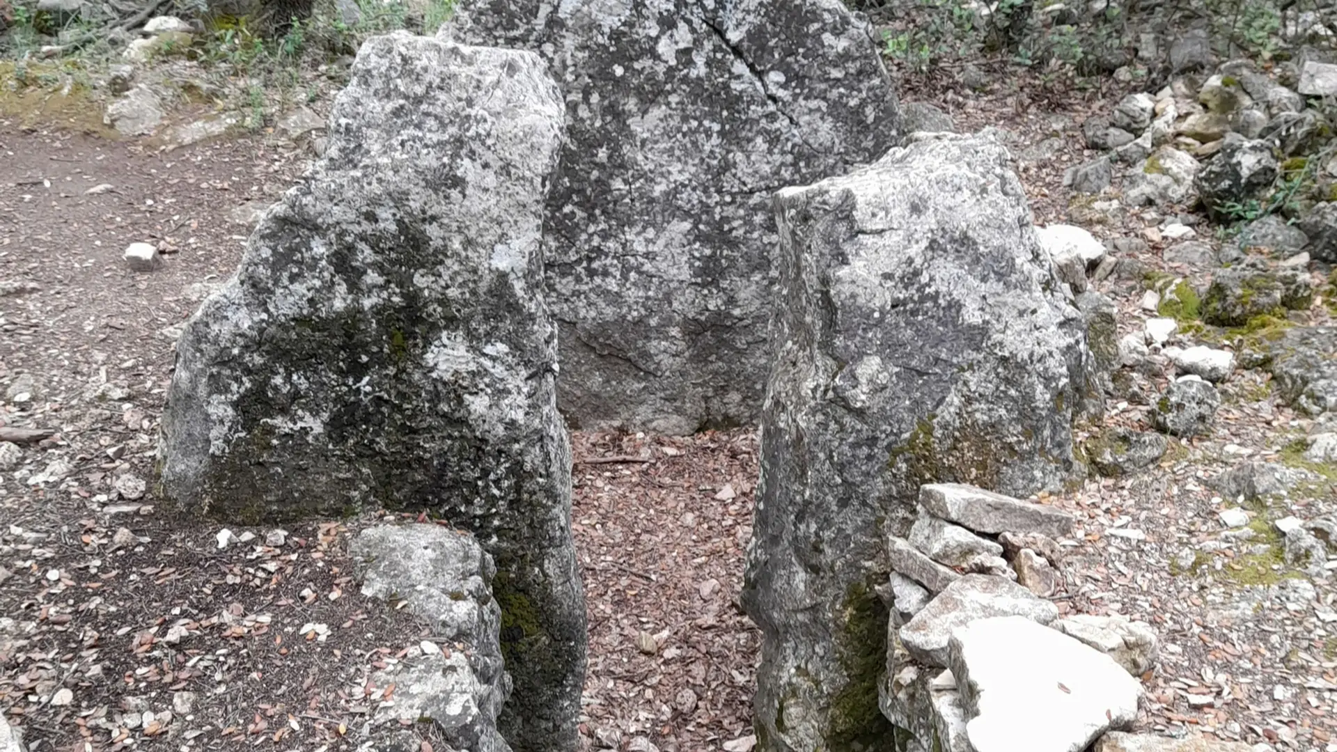 Vestiges du dolmen constitué d'un petit cheminement entouré de 2 murets en pierres grises