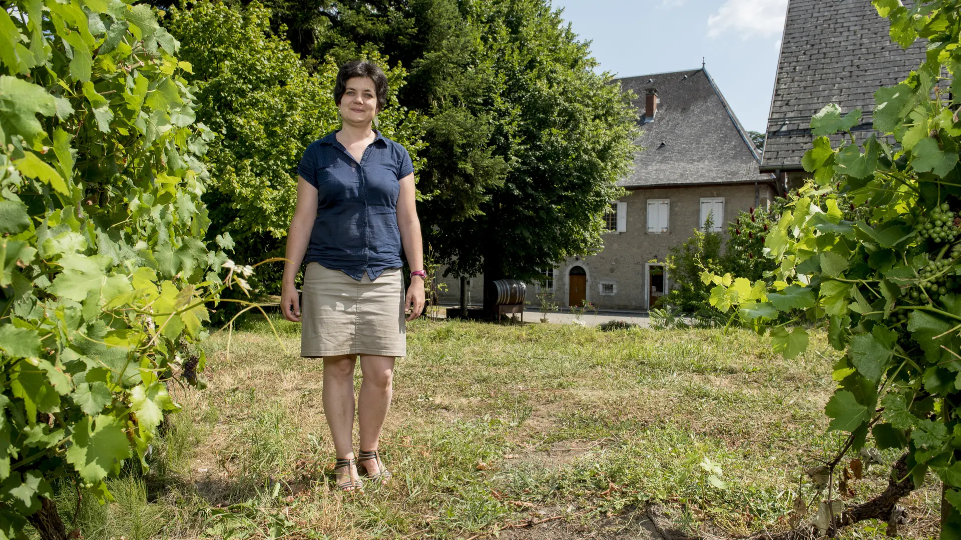 Domaine de Méjane