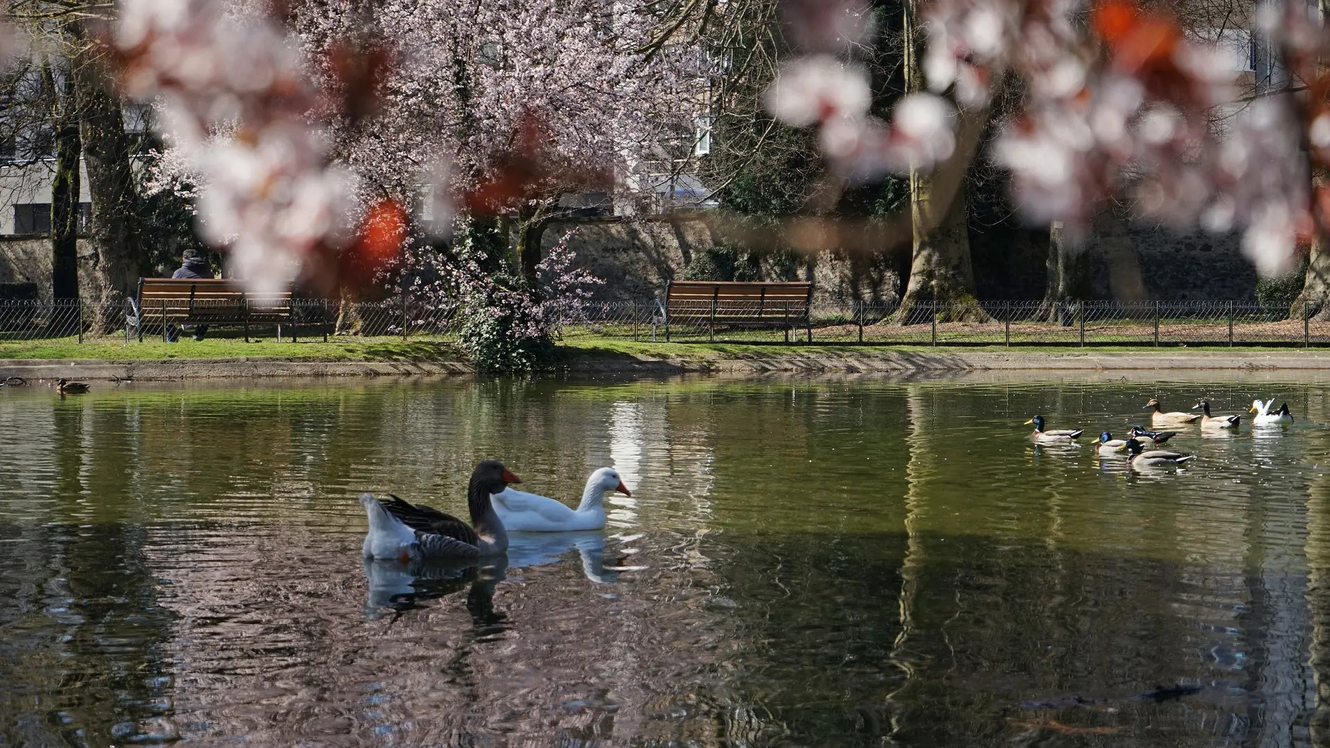 Jardin de Ville