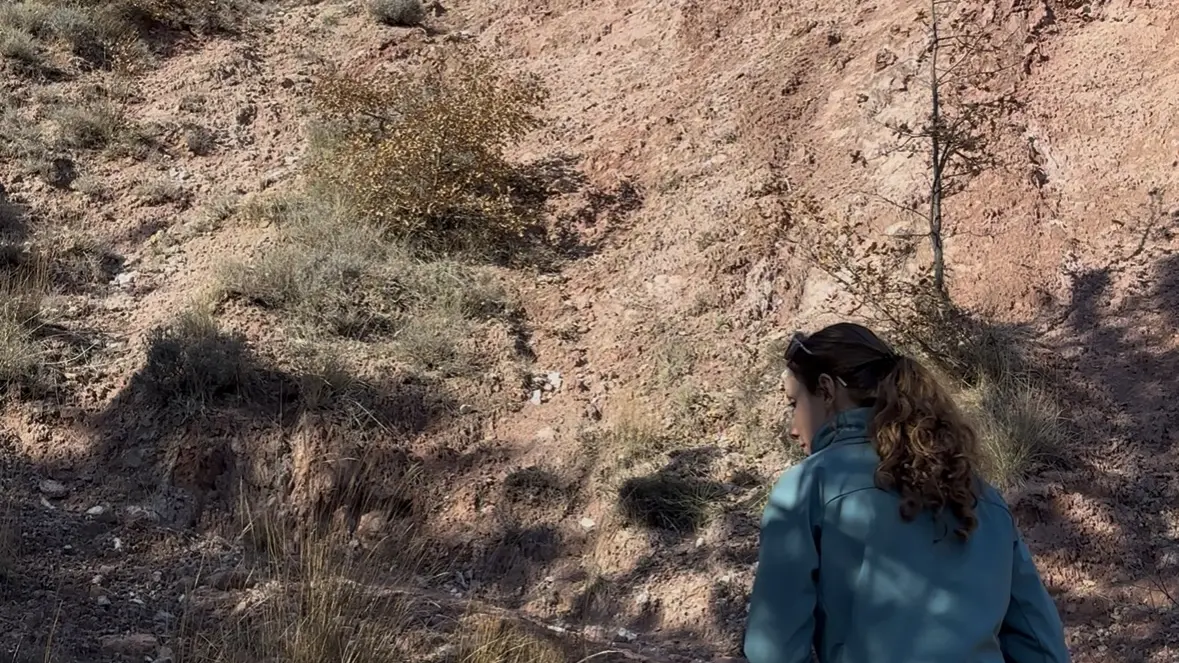 Boucle de la Dalle aux ammonites